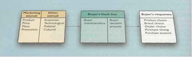 Consumer Buyer Behaviour