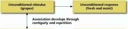 Classical Conditioning Marketing