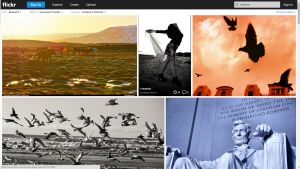 flikr-image