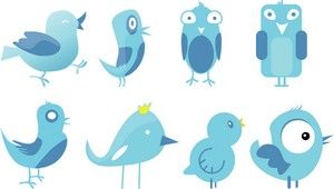 Birds