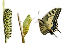 IStock_000004608199XSmall