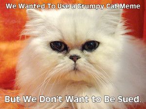 Non-Grumpy Cat Meme Non-Grumpy Cat Meme