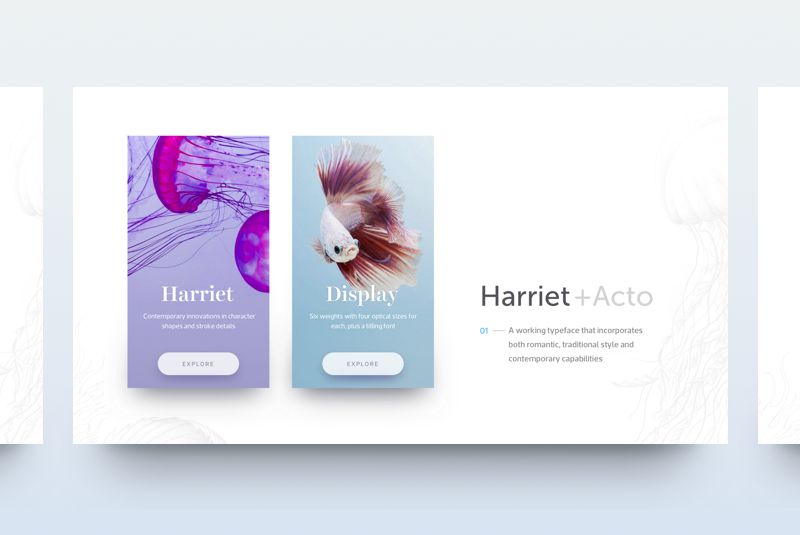 ui example