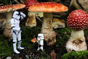 Lego in Wonderland